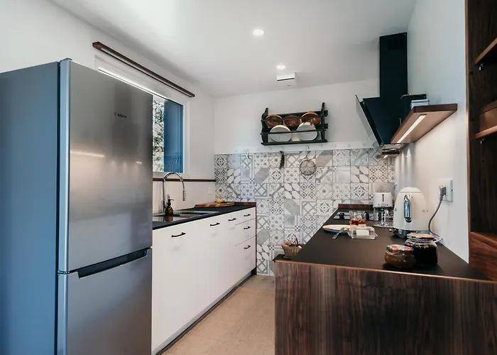 Janina's Dragonfly House * Nova Vas (Bloke)