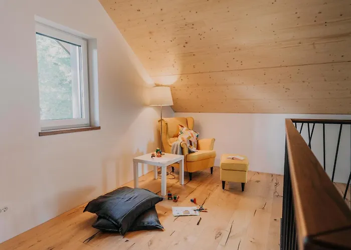 Janina's Dragonfly House * 诺瓦沃什