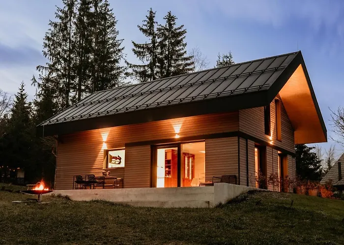 Janina's Dragonfly House * 诺瓦沃什